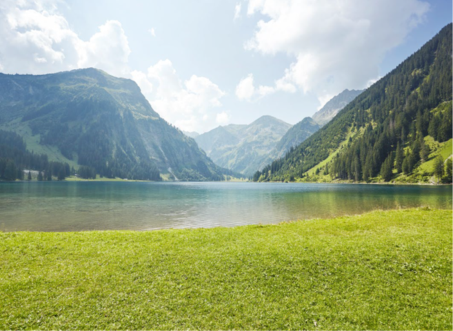 Carbn reduction nature image